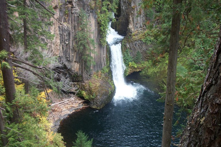 Roseburg Chamber Toketee-Falls1
